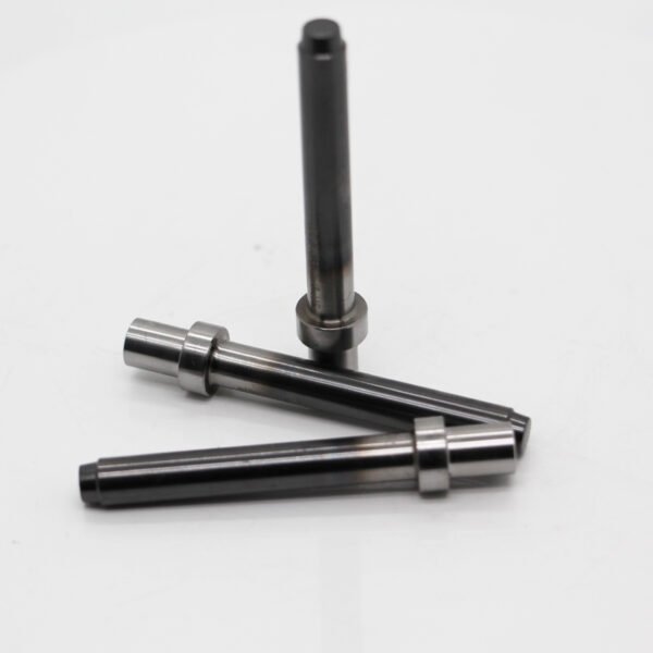 IMG_5901 Punch And Dies